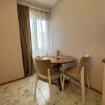 2 bedroom apartment in Bagebi for rent
