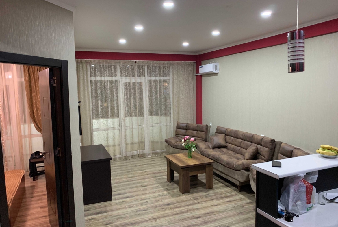 One bedroom apartment in Dighomi for rent (10)