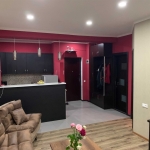 One bedroom apartment in Dighomi for rent (5)