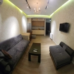 One bedroom apartment in Isani for rent (6)