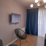 One bedroom apartment in Saburtalo for rent (4)