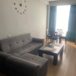 Two bedroom apartment in Nadzaladevi for rent (3)