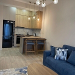 one bedroom apartment for rent in Didube (5)