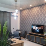 one bedroom apartment for rent in Dighomi (4)