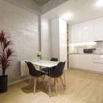 1 bedroom apartment for rent in Avlabari