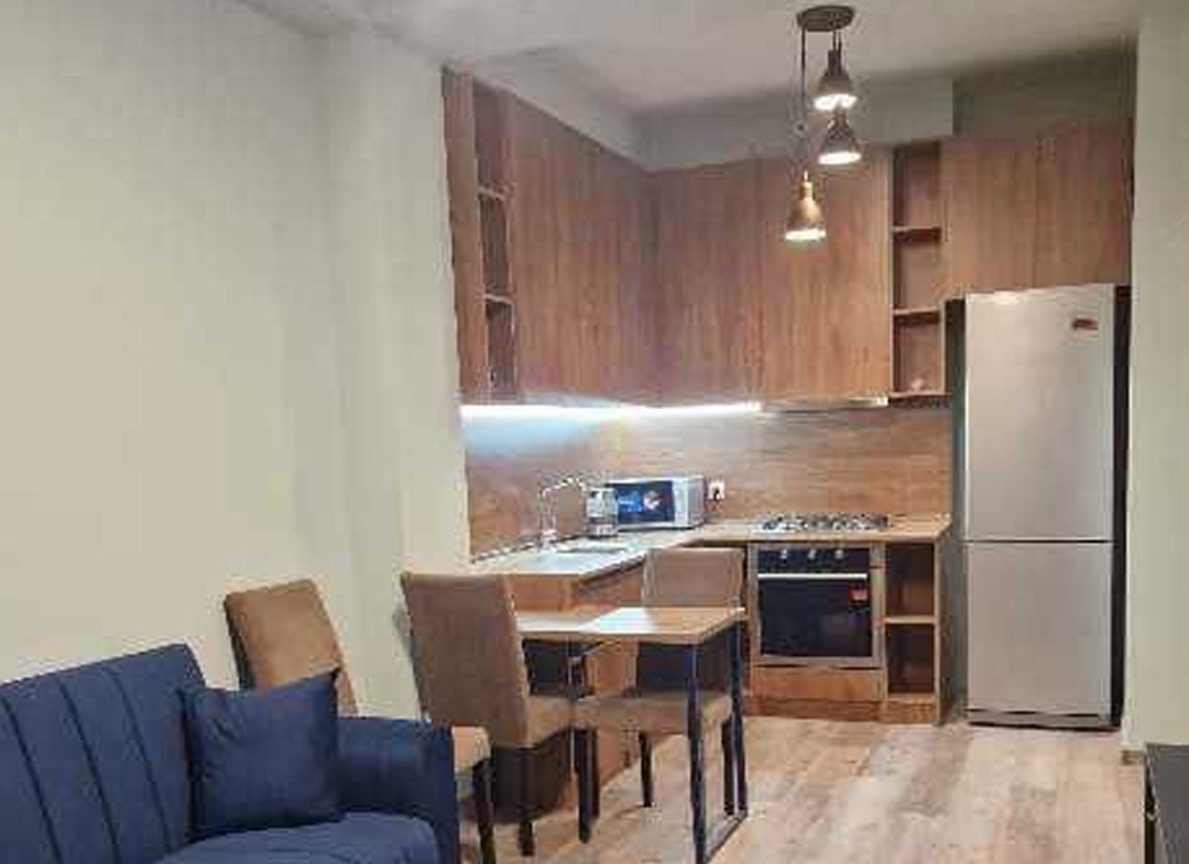 1 bedroom apartment for rent in Didube