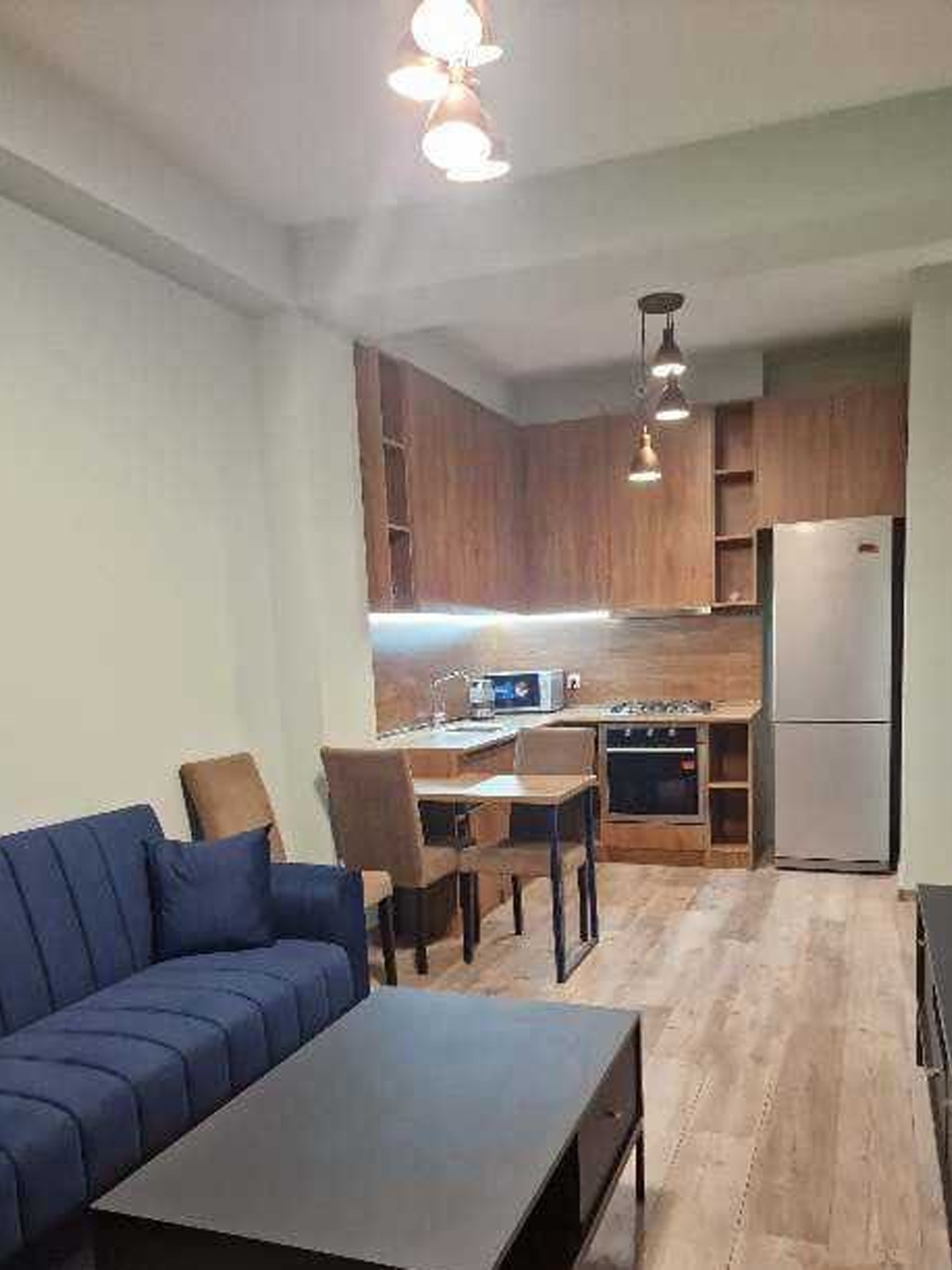 1 bedroom apartment for rent in Didube