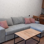 1 bedroom apartment for rent in Saburtalo