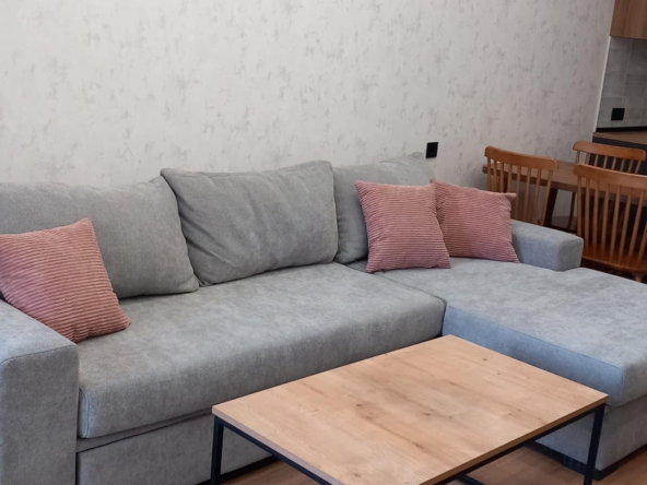 آپارتمان يک اتاق خواب براي اجاره در سابورتالو 12 1 bedroom apartment for rent in Saburtalo
