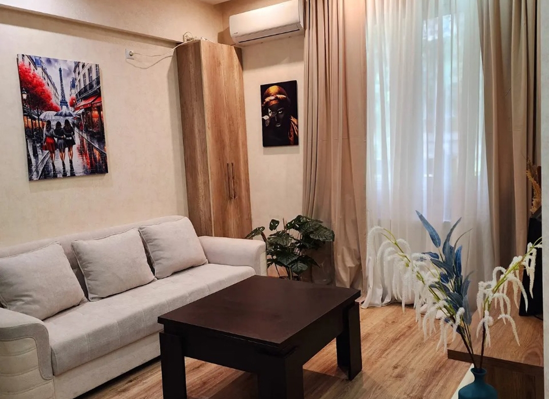 1 bedroom apartment for rent in Saburtalo (2)