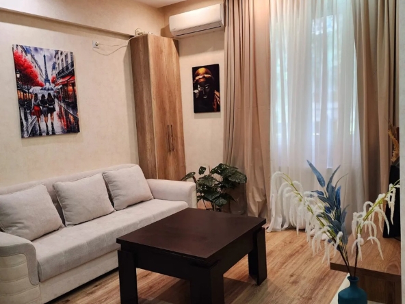 اجاره آپارتمان 1 خوابه در صبورتالو 6 1 bedroom apartment for rent in Saburtalo (2)