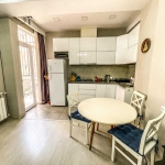 1 bedroom apartment for rent in Saburtalo
