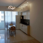 1 bedroom apartment for rent in Saburtalo