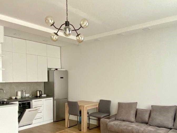 آپارتمان يک اتاق خواب براي اجاره در سابورتالو 6 1 bedroom apartment for rent in Saburtalo
