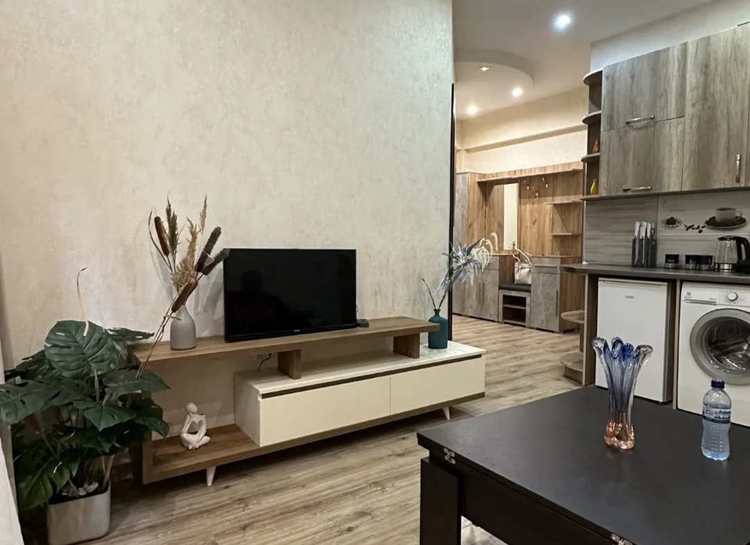 1 bedroom apartment for rent in Saburtalo (6)