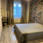 1 bedroom apartment for rent in Vake