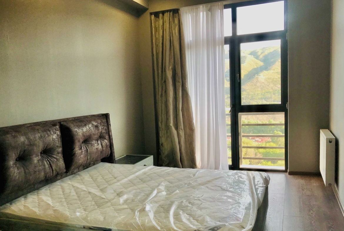 1 bedroom apartment in Isani for rent