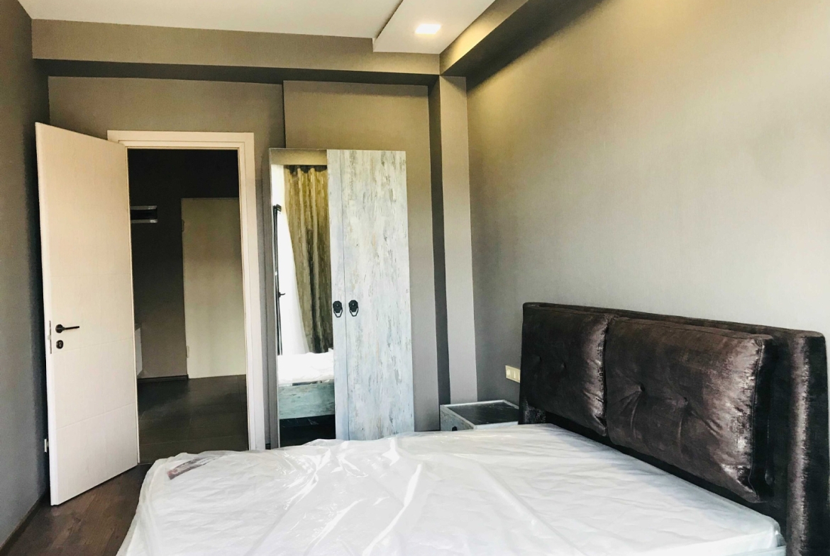 1 bedroom apartment in Isani for rent