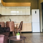 1 bedroom apartment in Isani for rent