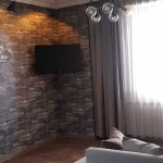 1 bedroom apartment in Saburtalo for rent