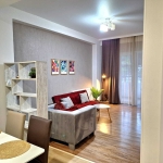 1 bedroom apartment in Saburtalo for rent
