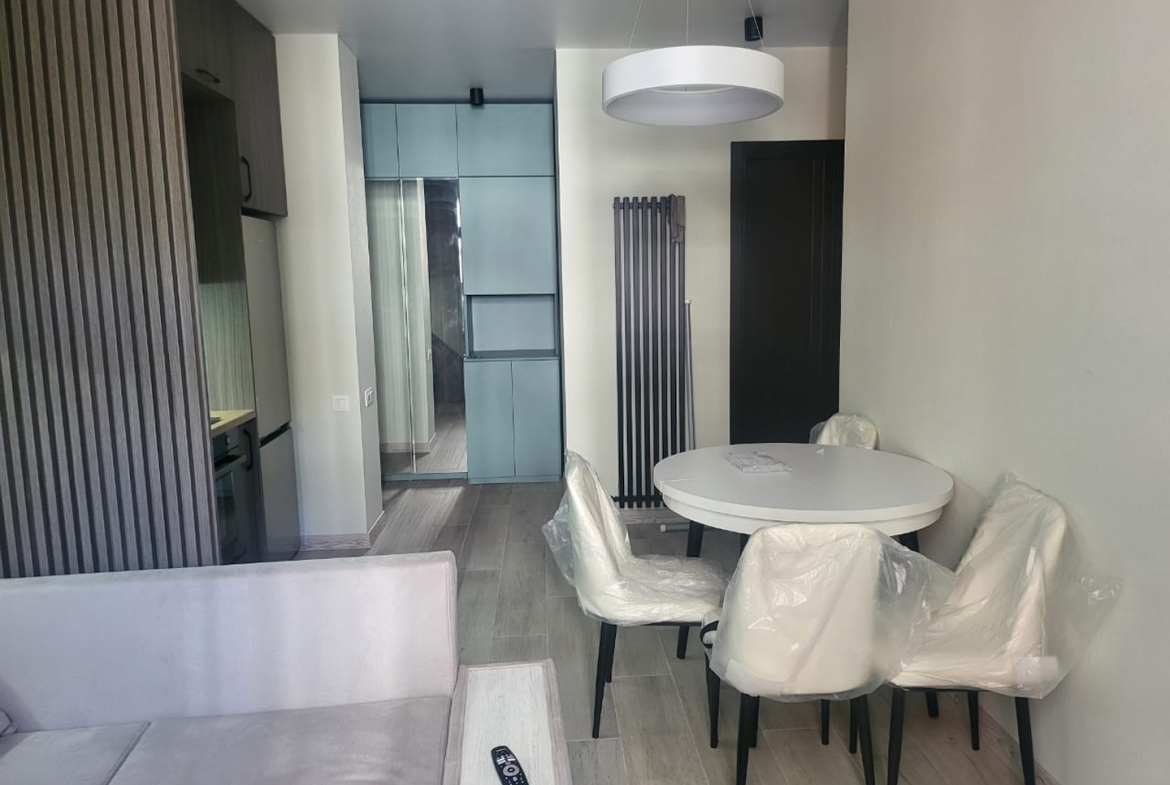 2 bedroom apartment for rent in Saburtalo (4)