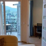 2 bedroom apartment in Didube for rent