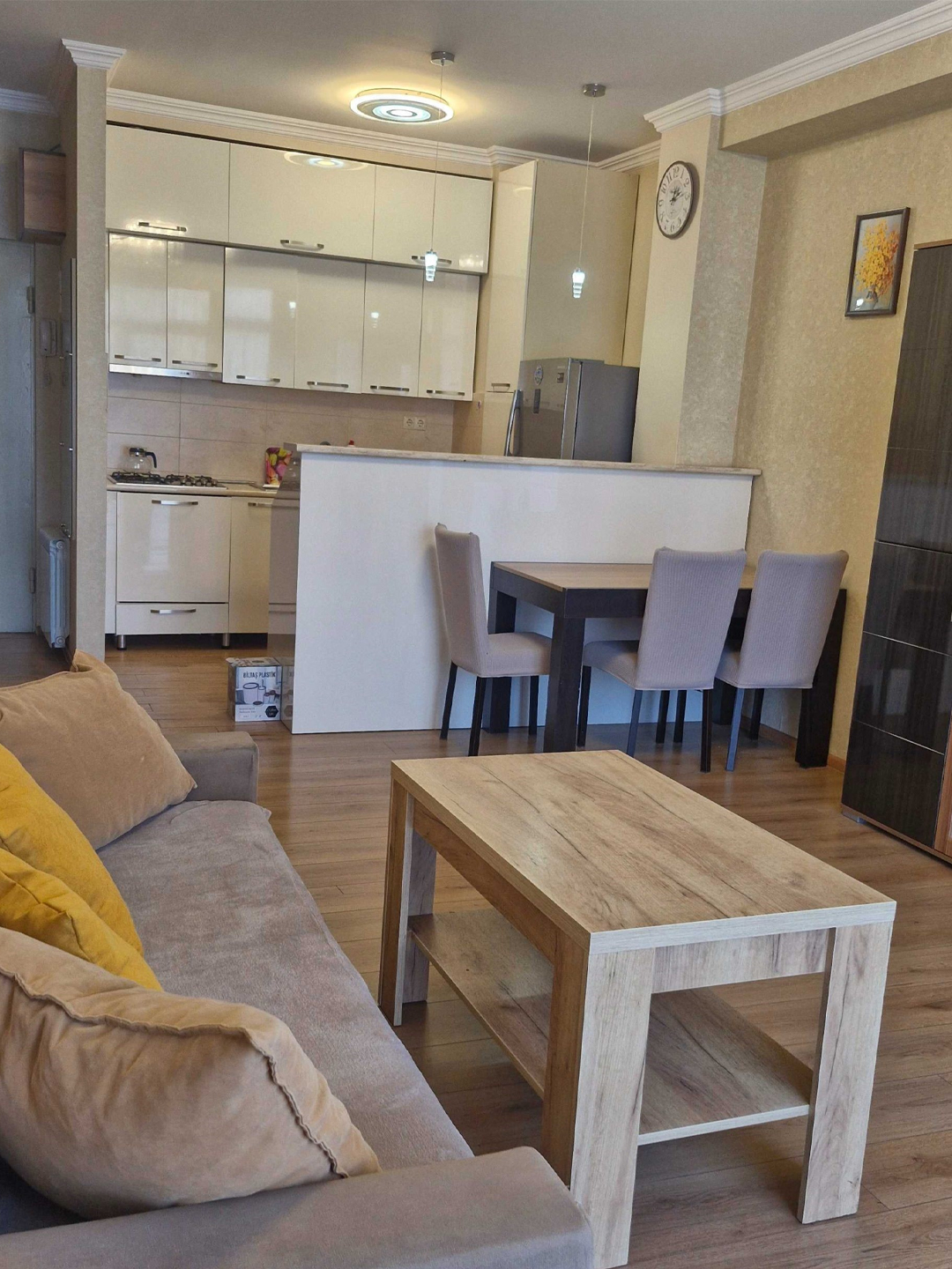 2 bedroom apartment for rent in Nadzaladevi