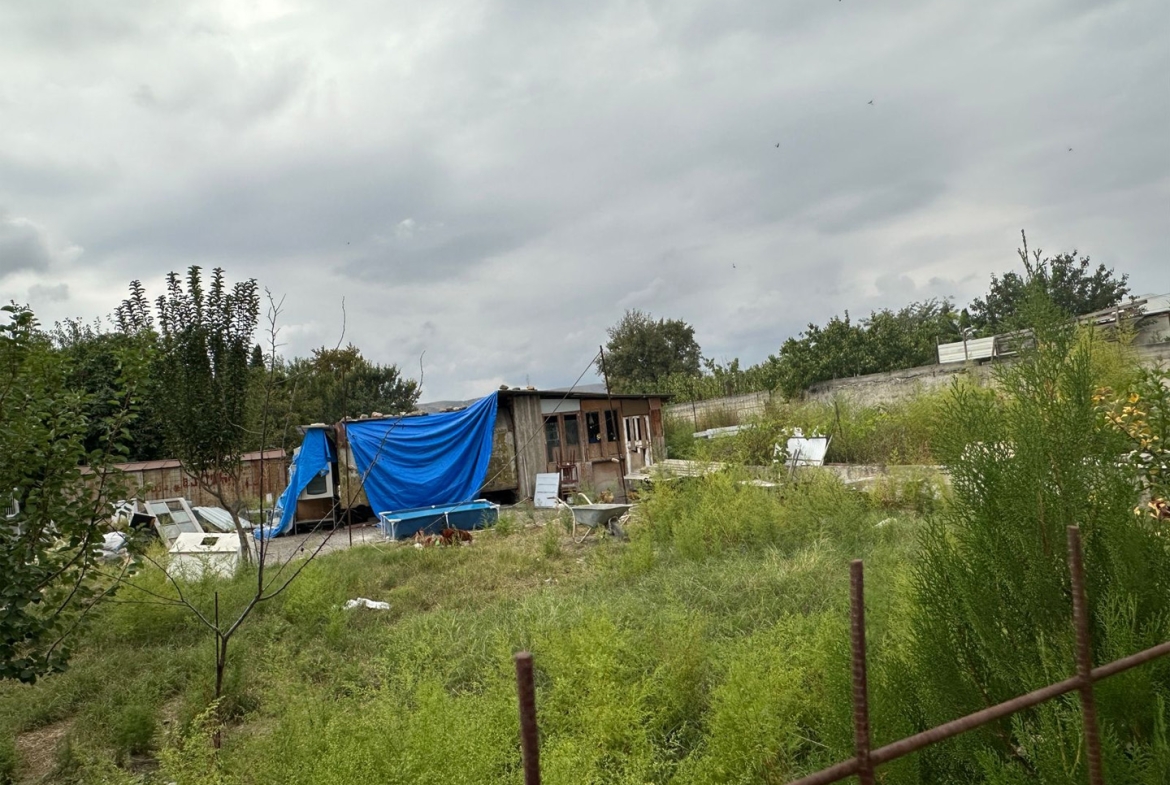 Non-agricultural land in Rustavi for sale (2)