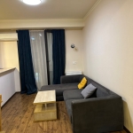 One bedroom apartment in Saburtalo for rent (5)