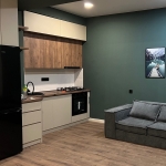 Two bedroom apartment in Isani for rent (4)