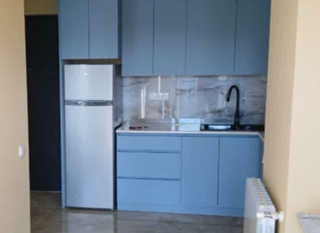 1 bedroom apartment for rent in Didi Dighomi (7)