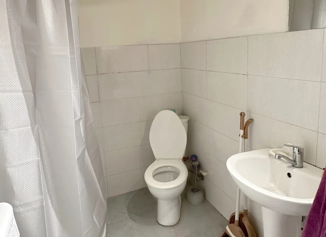 1 bedroom apartment for rent in Nadzaladevi (8)