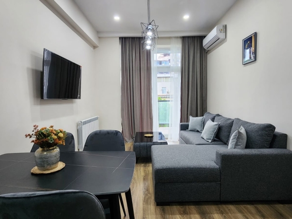 اجاره آپارتمان 1 خوابه در صبورتالو 24 1 bedroom apartment for rent in Saburtalo (1)
