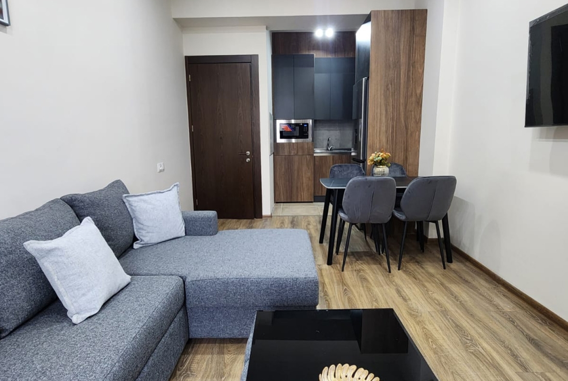 1 bedroom apartment for rent in Saburtalo (2)