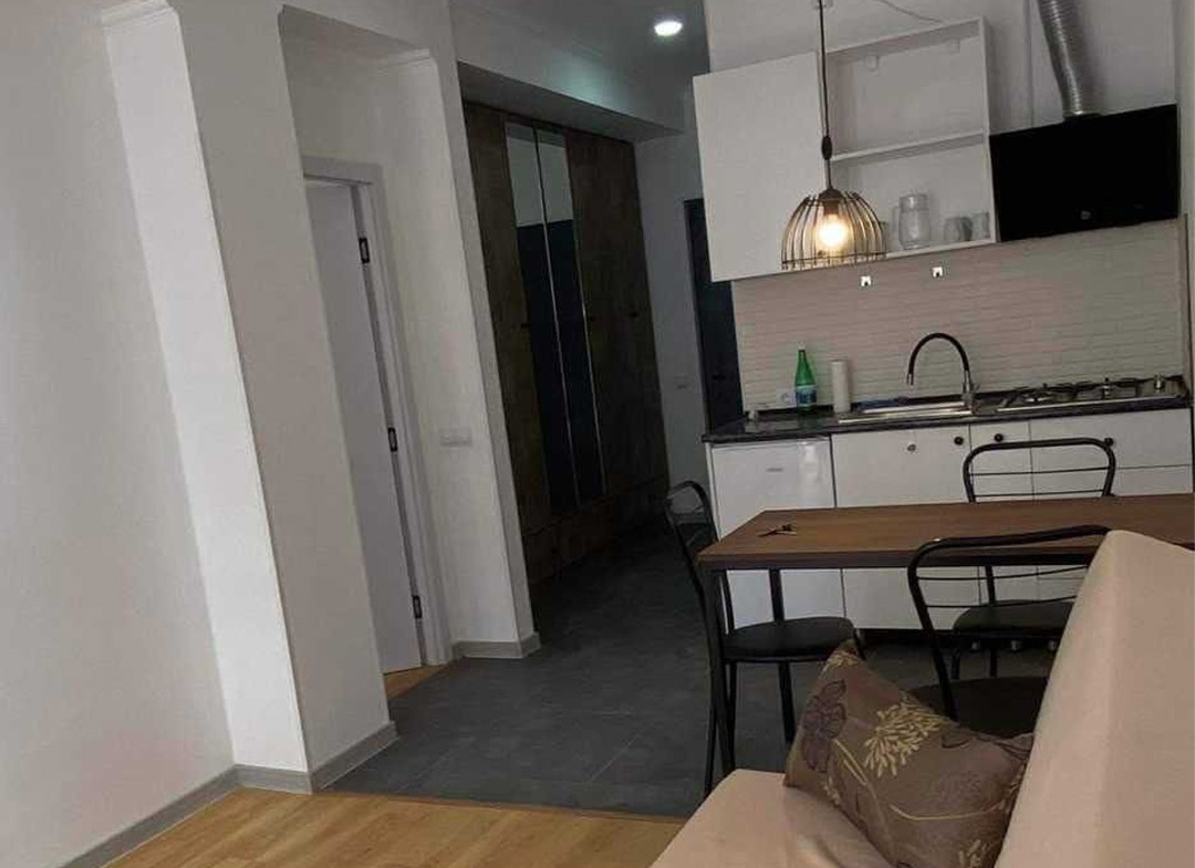 2 bedroom apartment for rent in Didi Dighomi (10)