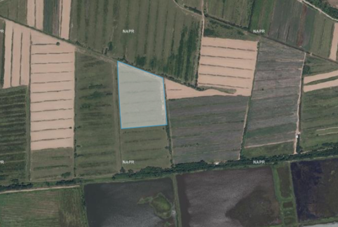 31492 sq.m non-agricultural land for sale in Ozurgeti