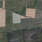 31492 sq.m non-agricultural land for sale in Ozurgeti