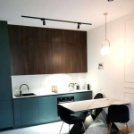 1 Bedroom apartment for rent in Vake