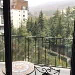 1 Bedroom apartment for rent in Vake
