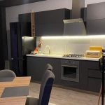 1 bedroom apartment for rent in Saburtalo