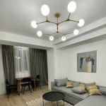 1 bedroom apartment for rent in Vake