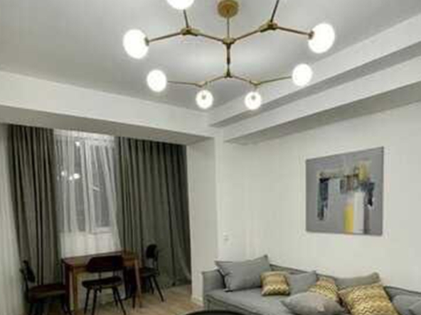 آپارتمان يک اتاق خواب براي اجاره در وايک 2 1 bedroom apartment for rent in Vake