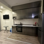 2 bedroom apartment in Didi Dighomi for rent