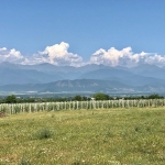 3133 sq.m non-agricultural land for sale in Vardisubani