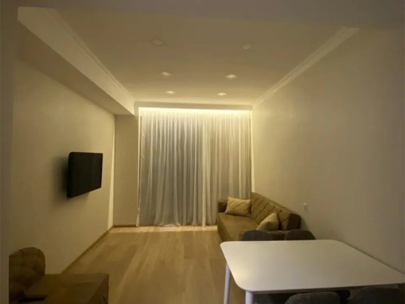 آپارتمان 1 اتاق خواب برای اجاره در آرچی میندلی 12 1 bedroom apartment for rent in Archi Mindeli