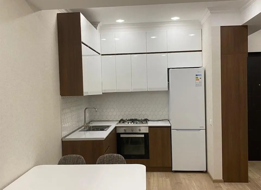 1 bedroom apartment for rent in Archi Mindeli