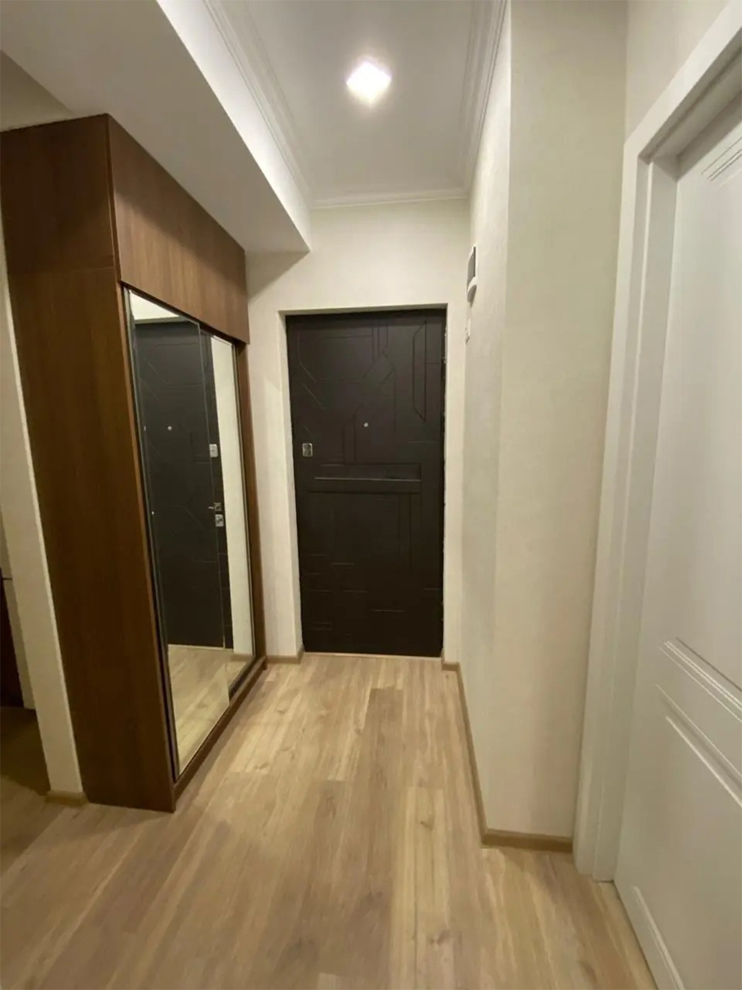 1 bedroom apartment for rent in Archi Mindeli