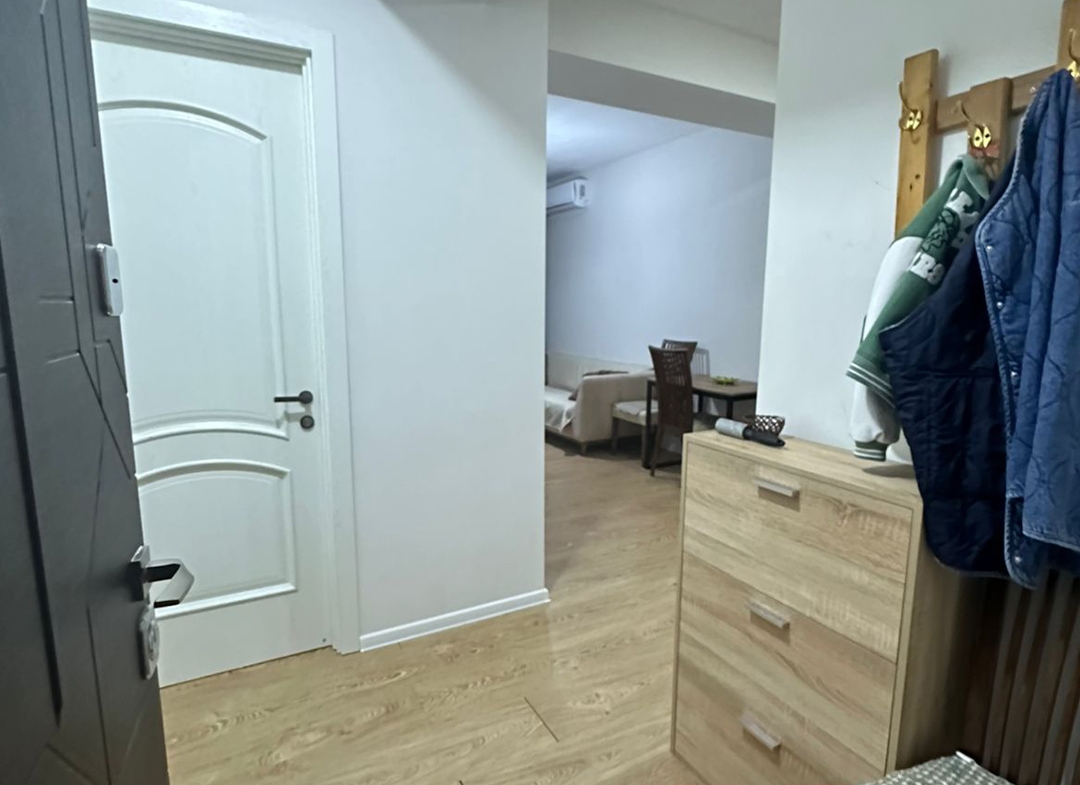 1 bedroom apartment for rent in Archi Saburtalo