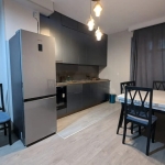 1 bedroom apartment for rent in Archi Saburtalo